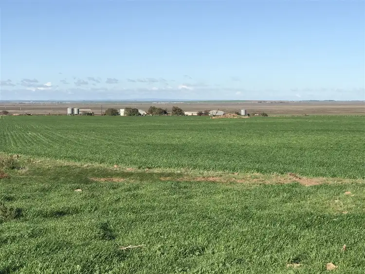 Third view of Homely rural property listing, 458 Borlace Road, Port Arthur SA 5552