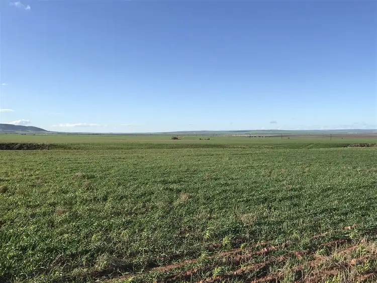 Sixth view of Homely rural property listing, 458 Borlace Road, Port Arthur SA 5552
