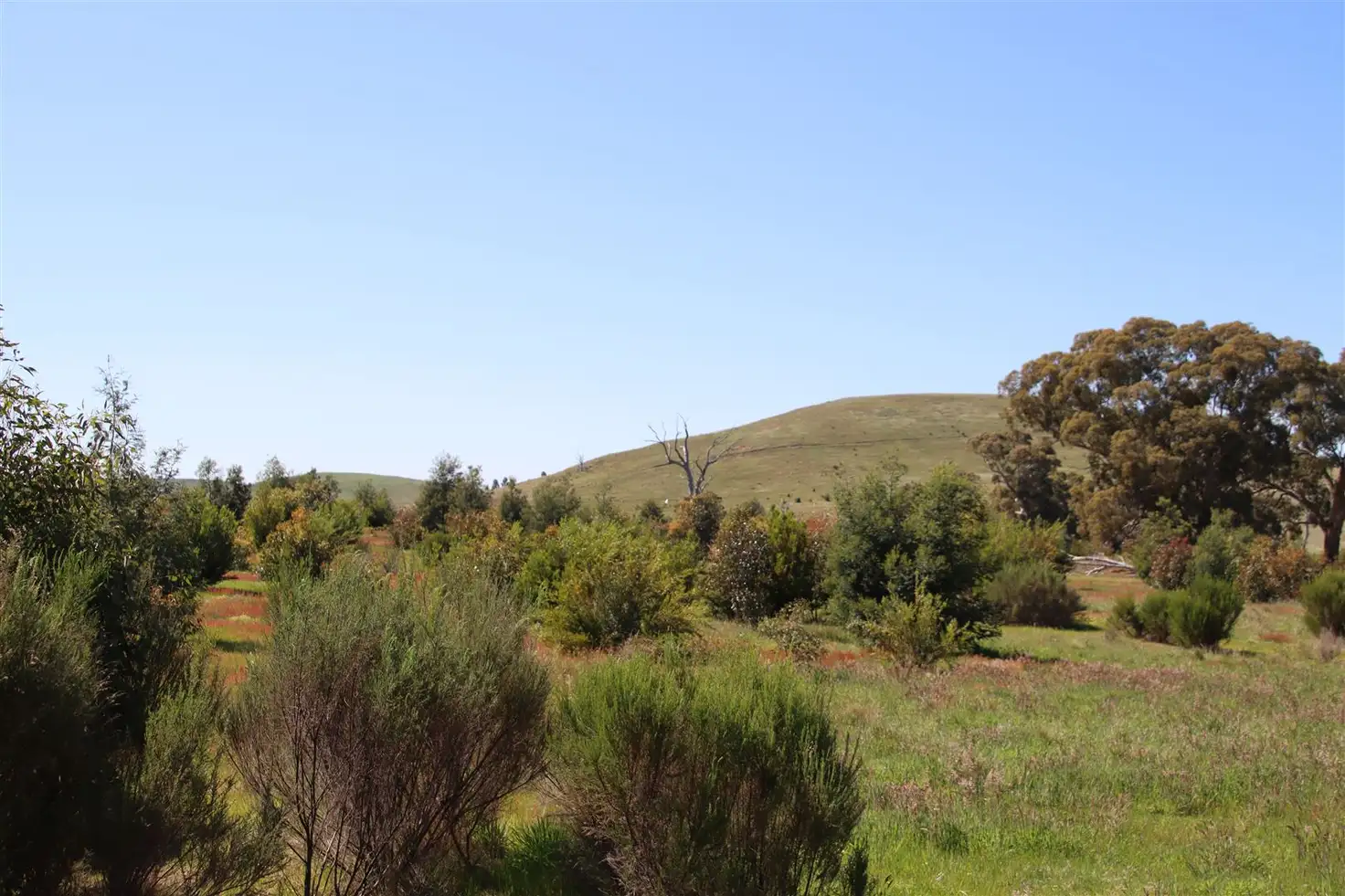 Main view of Homely rural property listing, 1216 Glenmore Road, Glenmore VIC 3340
