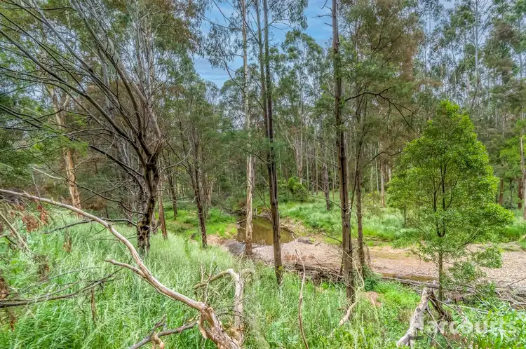 Seventh view of Homely rural property listing, Lot 2 Braniffs Road, Jeeralang Junction VIC 3840