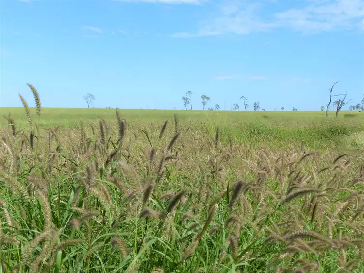 "Avenel West " 159 Brinsop Road, Roma QLD 4455