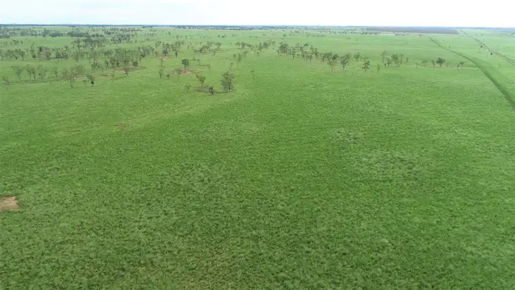 Seventh view of Homely rural property listing, "Avenel West " 159 Brinsop Road, Roma QLD 4455