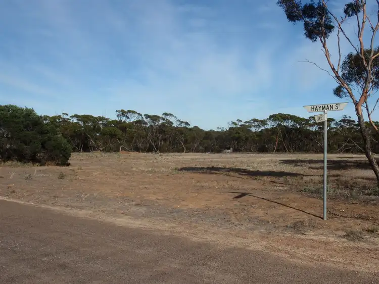 Main view of Homely land listing, Allotment 86 & 87 Hayman Street, Minnipa SA 5654