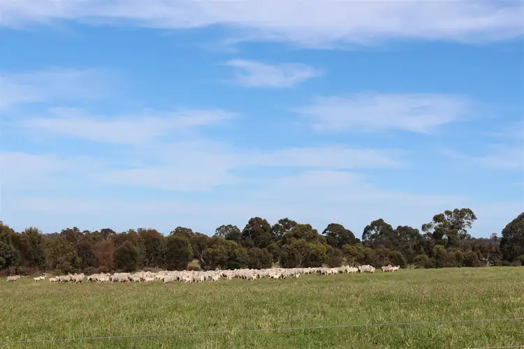 Sixth view of Homely rural property listing, ' Skyview Valley ', Mount Barker WA 6324