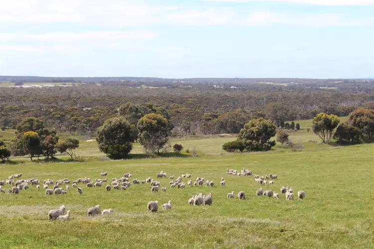 Seventh view of Homely rural property listing, ' Skyview Valley ', Mount Barker WA 6324