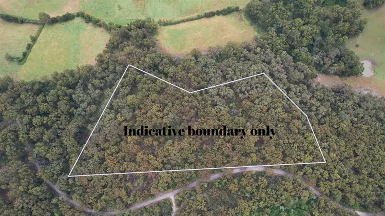 Second view of Homely rural property listing, . Baxters Road, Macks Creek VIC 3971
