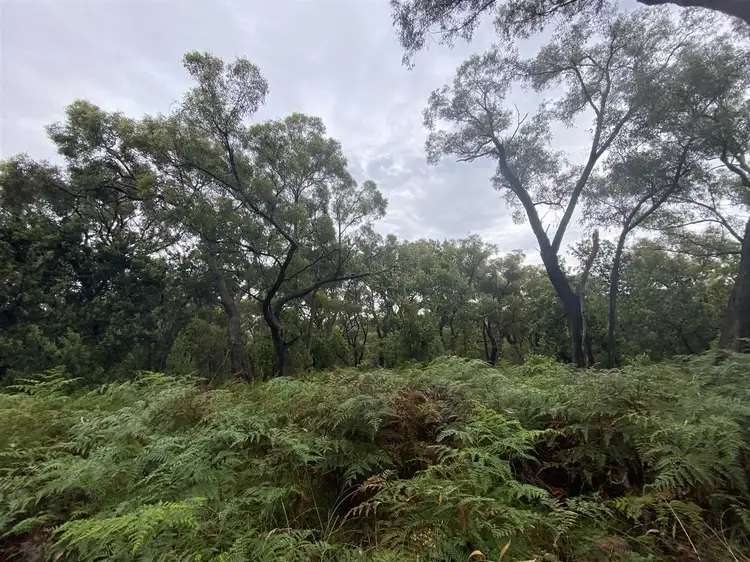 Third view of Homely rural property listing, . Baxters Road, Macks Creek VIC 3971