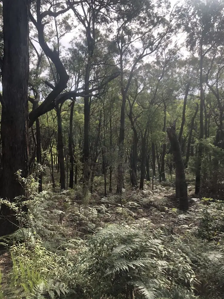 Sixth view of Homely rural property listing, . Baxters Road, Macks Creek VIC 3971