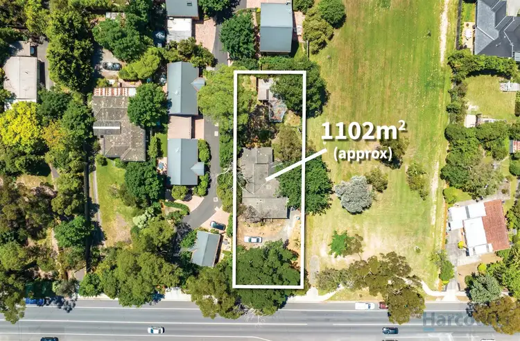 Second view of Homely house listing, 211A Dorset Road, Croydon VIC 3136
