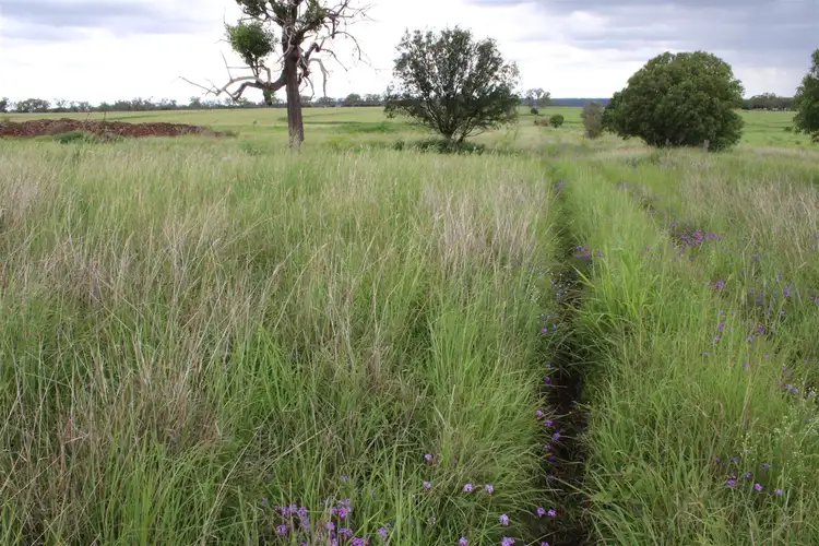 Seventh view of Homely rural property listing, Address available on request