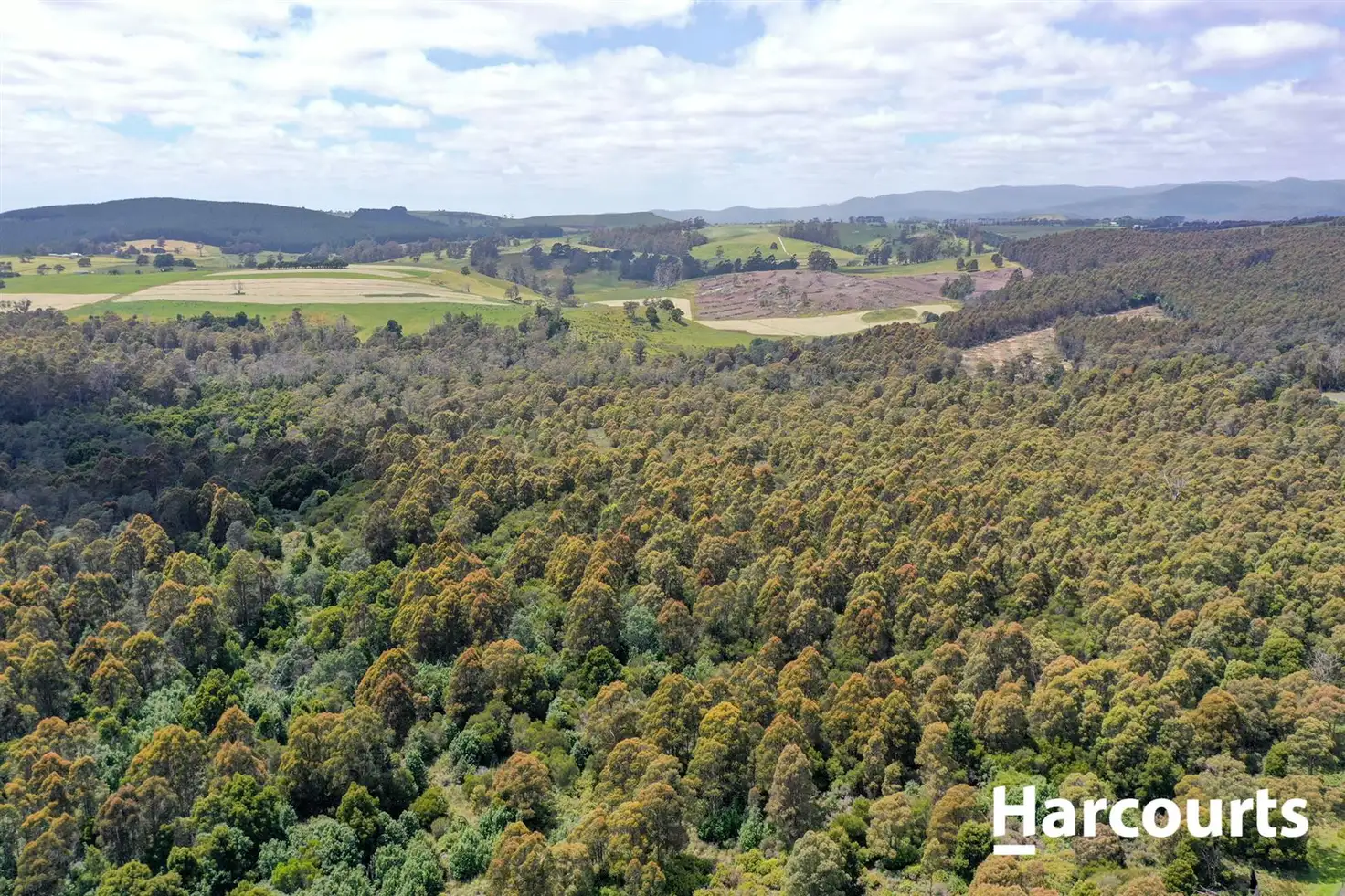 Main view of Homely rural property listing, lot 1 Johnsons Road, Winnaleah TAS 7265