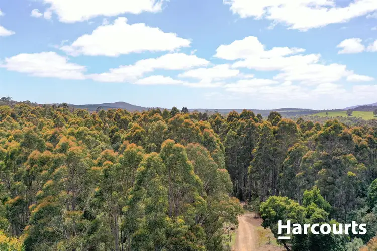 Second view of Homely rural property listing, lot 1 Johnsons Road, Winnaleah TAS 7265