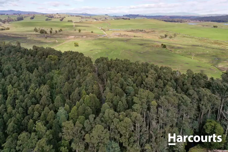 Fourth view of Homely rural property listing, lot 1 Johnsons Road, Winnaleah TAS 7265
