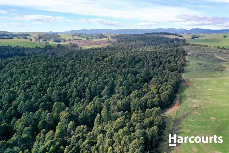 Sixth view of Homely rural property listing, lot 1 Johnsons Road, Winnaleah TAS 7265