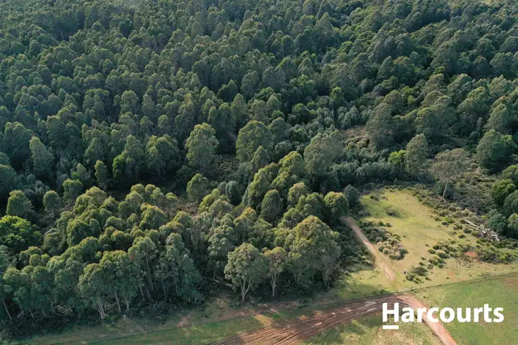 Seventh view of Homely rural property listing, lot 1 Johnsons Road, Winnaleah TAS 7265