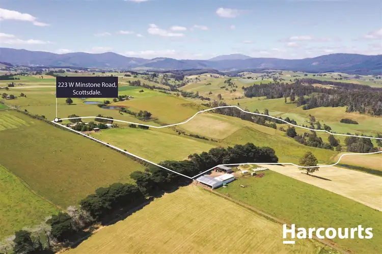 Second view of Homely rural property listing, 223 West Minstone Road, Scottsdale TAS 7260