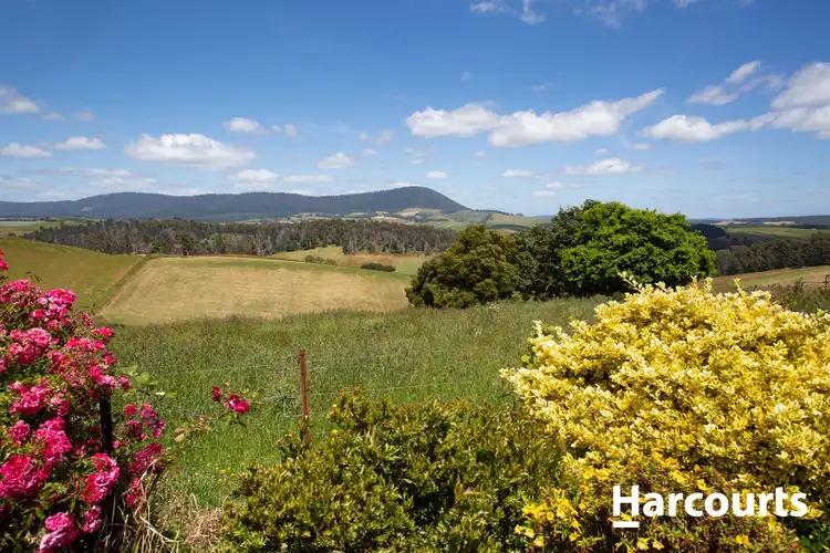 Third view of Homely rural property listing, 223 West Minstone Road, Scottsdale TAS 7260