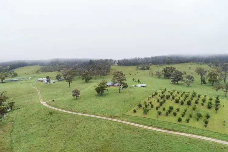 Third view of Homely rural property listing, Biscuit Creek 796 Guyra Road, Ebor NSW 2453