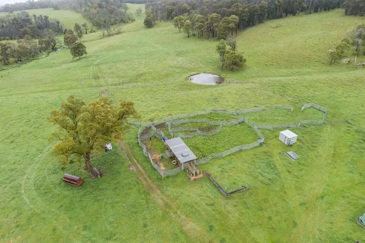 Fifth view of Homely rural property listing, Biscuit Creek 796 Guyra Road, Ebor NSW 2453