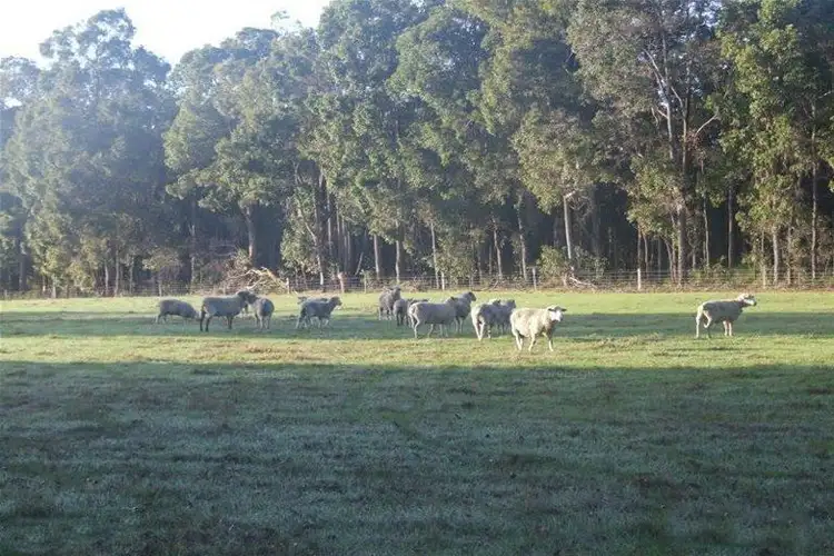 Seventh view of Homely rural property listing, 62 Brookhampton Road, Brookhampton WA 6239