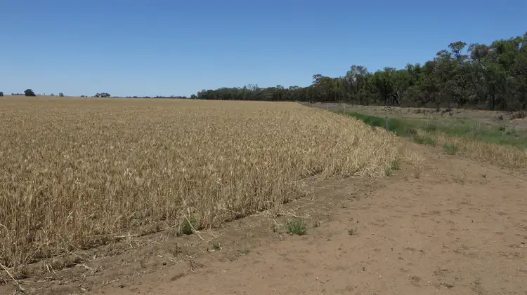 Main view of Homely rural property listing, 371 Fenton Road, Budgerum East VIC 3579
