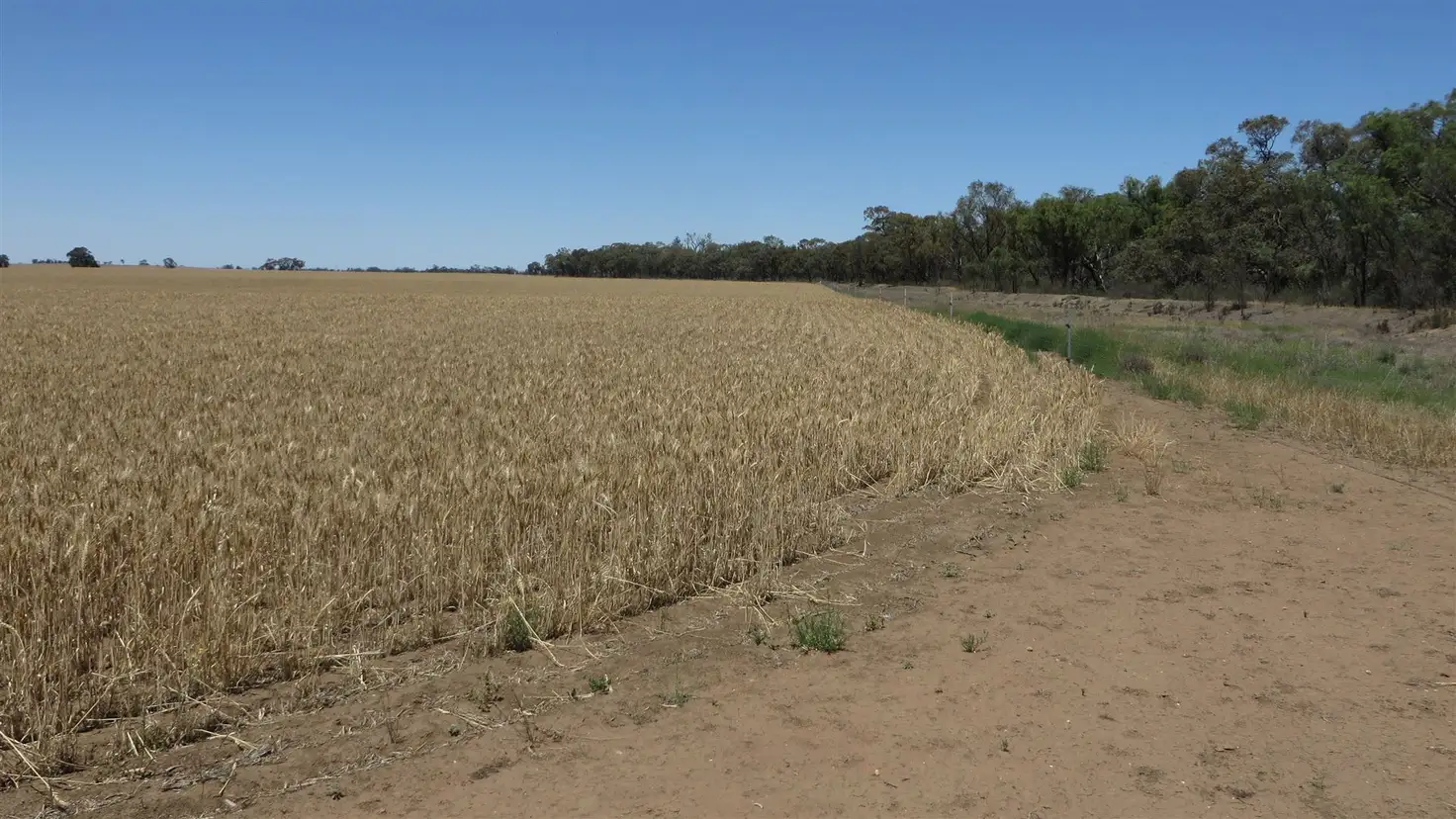 Main view of Homely rural property listing, 371 Fenton Road, Budgerum East VIC 3579