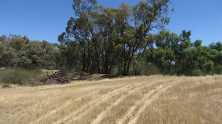 Fifth view of Homely rural property listing, 371 Fenton Road, Budgerum East VIC 3579