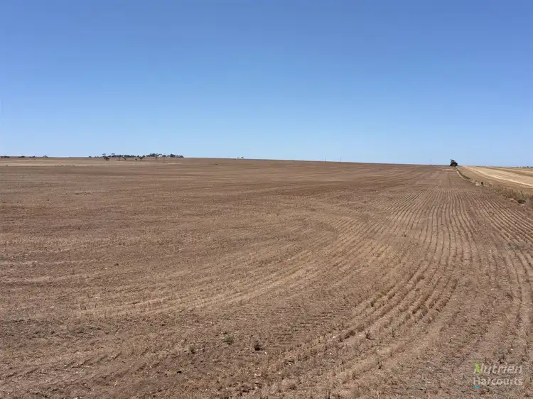 Main view of Homely rural property listing, Lot 353 Bittner Road, Curramulka SA 5580