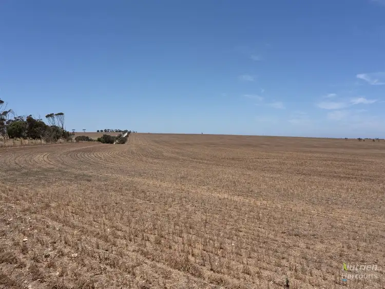 Fifth view of Homely rural property listing, Lot 353 Bittner Road, Curramulka SA 5580