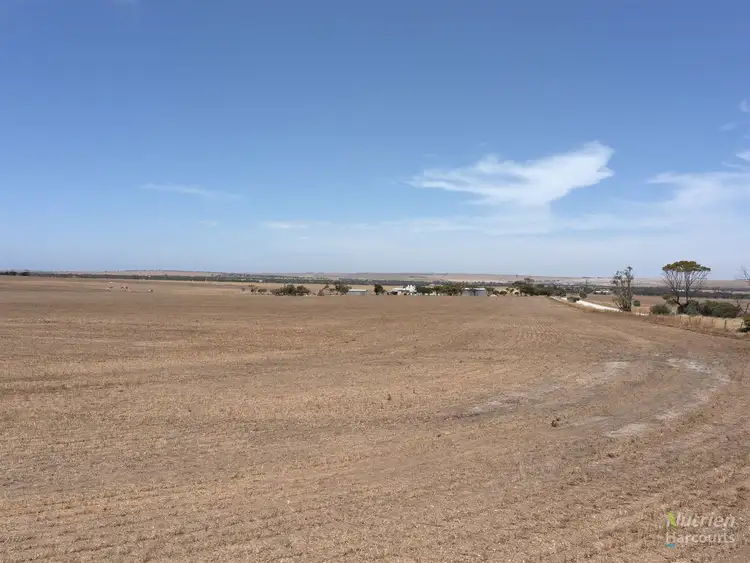 Seventh view of Homely rural property listing, Lot 353 Bittner Road, Curramulka SA 5580
