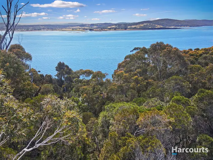 Third view of Homely land listing, 63 St Helens Point Road, Stieglitz TAS 7216