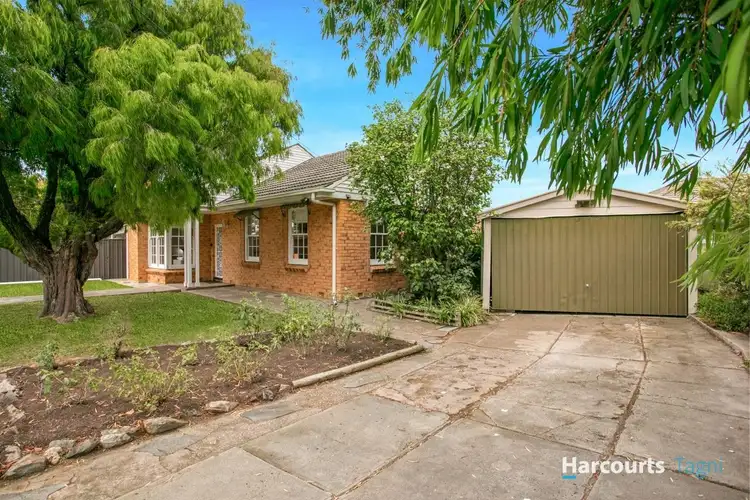 Third view of Homely house listing, 14 Pine Avenue, Glenelg North SA 5045