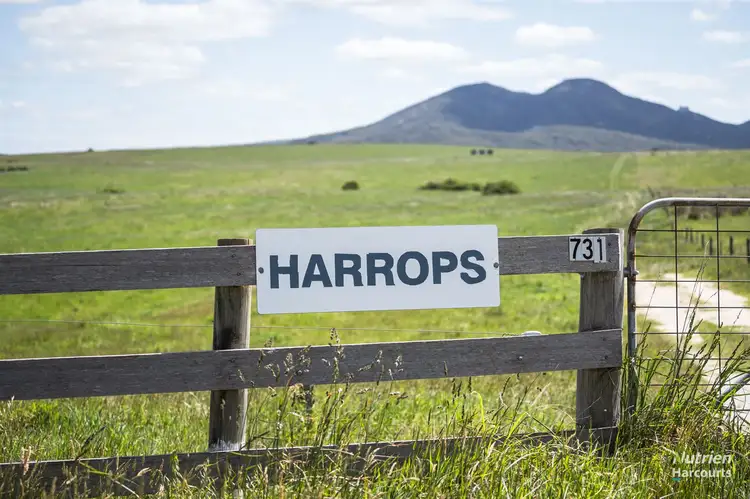 Main view of Homely rural property listing, 731 Lady Barron Road, Ranga TAS 7255