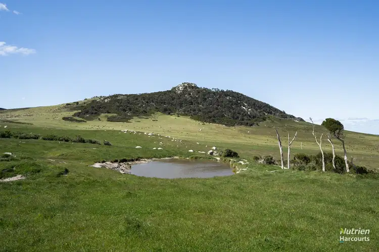 Seventh view of Homely rural property listing, 731 Lady Barron Road, Ranga TAS 7255