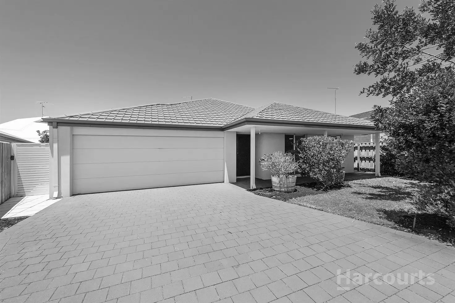 Main view of Homely house listing, 36 Skylark Loop, Erskine WA 6210