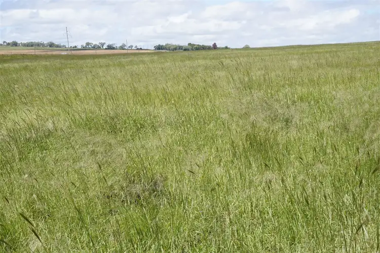 Fourth view of Homely rural property listing, Lot 3 17892 New England Highway, Mount Marshall QLD 4362