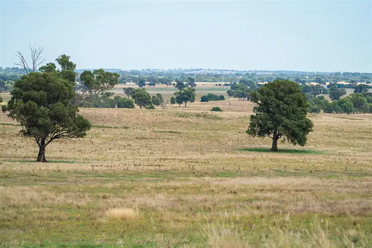 Third view of Homely rural property listing, Part - 74 Nesbitt Road, Rutherglen VIC 3685