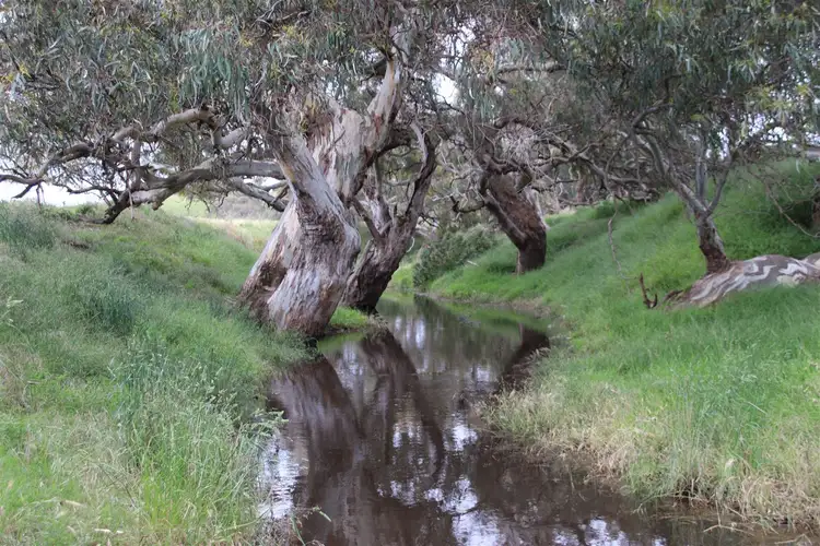 Second view of Homely rural property listing, Lot/1 Steiglitz Road, Sutherlands Creek VIC 3331