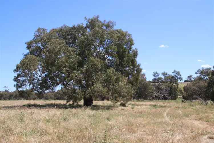 Fourth view of Homely rural property listing, Lot/1 Steiglitz Road, Sutherlands Creek VIC 3331