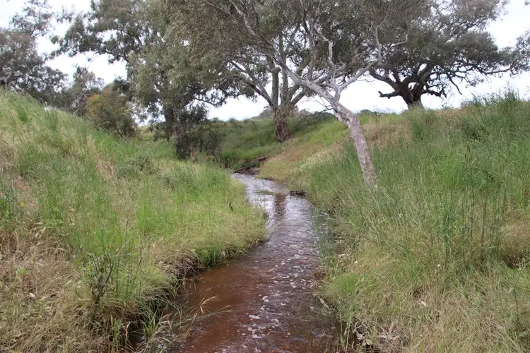 Fifth view of Homely rural property listing, Lot/1 Steiglitz Road, Sutherlands Creek VIC 3331