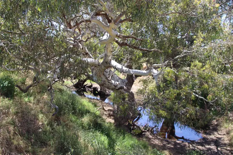 Sixth view of Homely rural property listing, Lot/1 Steiglitz Road, Sutherlands Creek VIC 3331