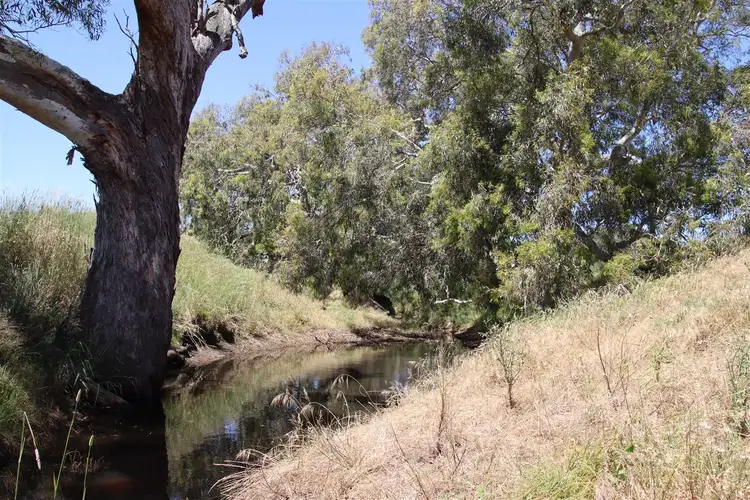Seventh view of Homely rural property listing, Lot/1 Steiglitz Road, Sutherlands Creek VIC 3331