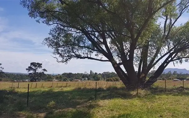 Main view of Homely land listing, 27 Fraser Street, Fingal TAS 7214