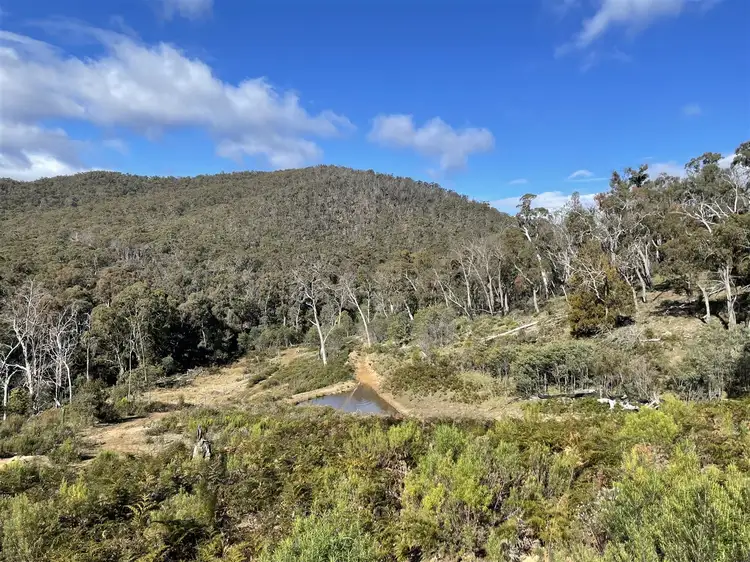 Lot 2 1291 Brookville Road, Brookville VIC 3896