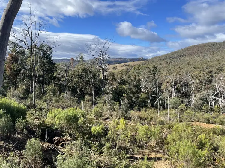 Second view of Homely rural property listing, Lot 2 1291 Brookville Road, Brookville VIC 3896