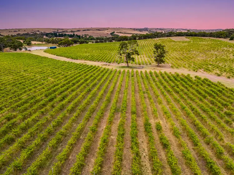 Allotment comprising Pieces 91 and 92 Flagstaff Hill Road, Currency Creek SA 5214