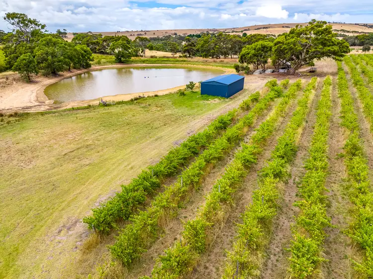 Fifth view of Homely rural property listing, Allotment comprising Pieces 91 and 92 Flagstaff Hill Road, Currency Creek SA 5214