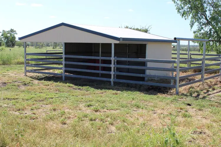 Seventh view of Homely rural property listing, 976 Montrose Road, Capella QLD 4723