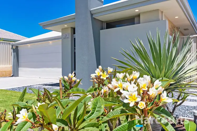 Second view of Homely house listing, 23 Pangolin Grove, Alkimos WA 6038