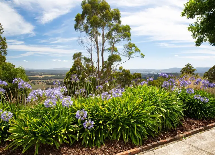 Second view of Homely house listing, 164 Notley Hills Road, Notley Hills TAS 7275